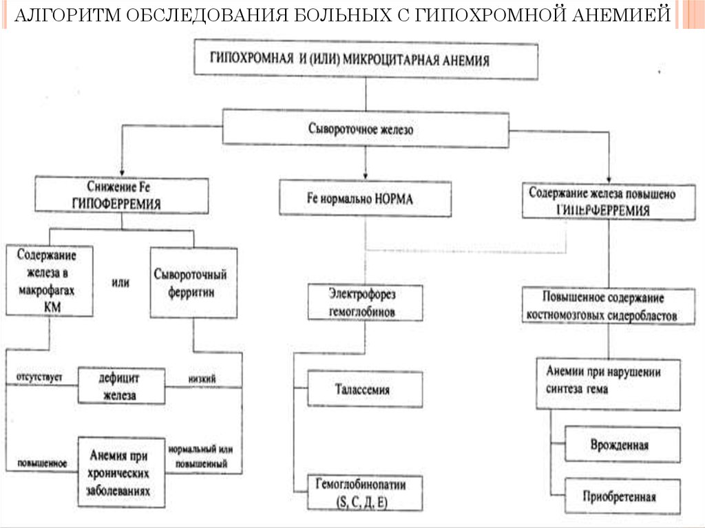 План обследования больных с анемией