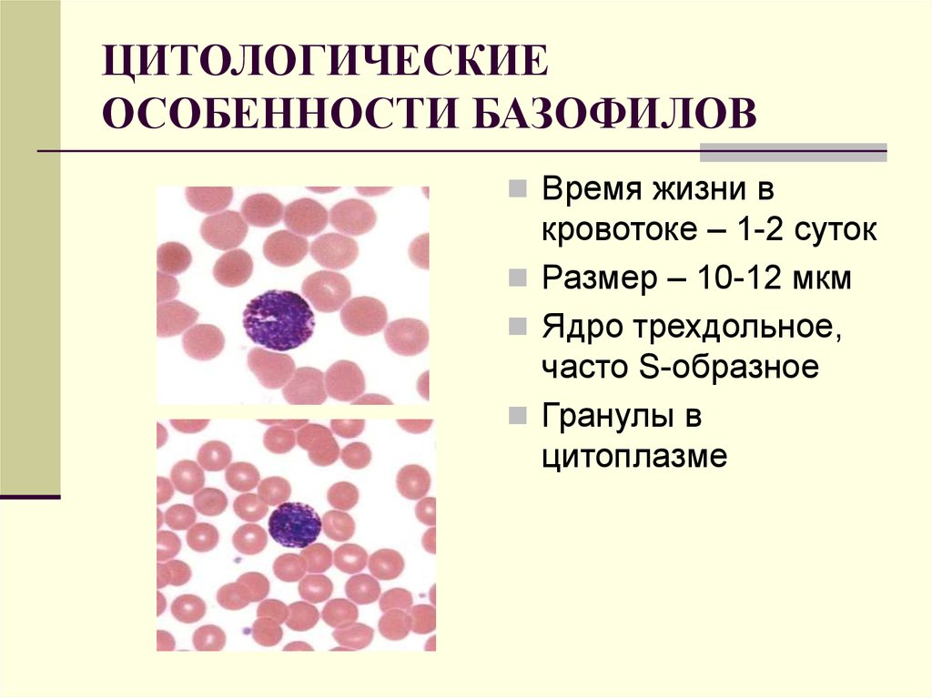 Цитологическая карта это