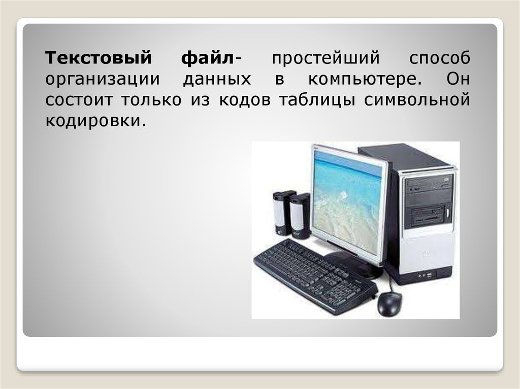 Простой файл. Простейший способ организации данных в компьютере.