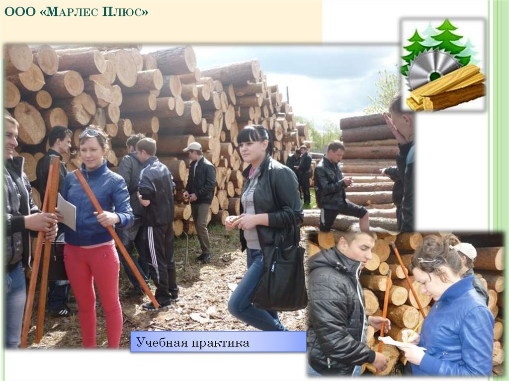 ООО «Марлес Плюс»