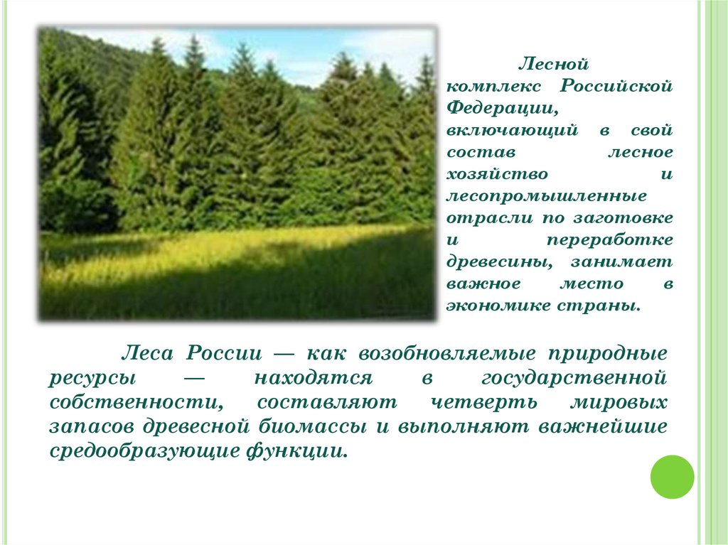 Тема лесной комплекс. Лесной комплекс России. Лесной комплекс Российской Федерации. Перспективы лесного комплекса России. Состав леса.