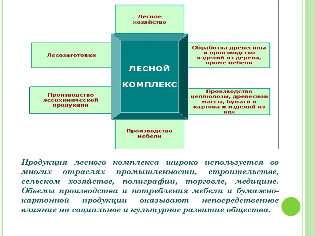 Продукция лесного комплекса. Продукты лесного комплекса. Структура лесного комплекса России. Схема состав лесного комплекса.