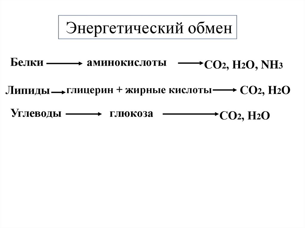 2 белковый обмен. Со2+н2о+nh3. Пластический и энергетический обмен схема. Глюкоза + о2. Пластический обмен белков.