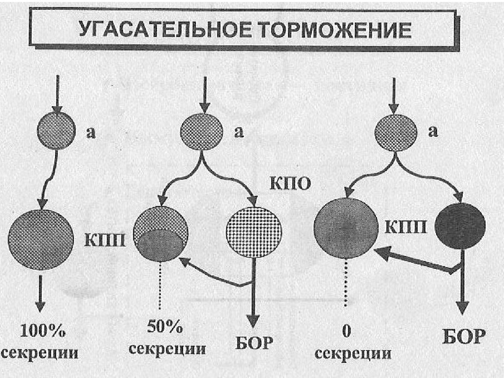 Угасательное торможение это. Угасательное торможение схема. Угасательное торможение примеры. Схема развития внутреннего торможения. Запаздывательное торможение примеры.