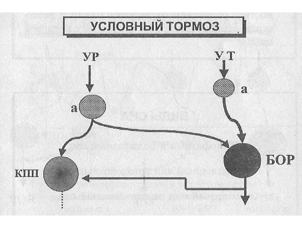 Пример условного торможения