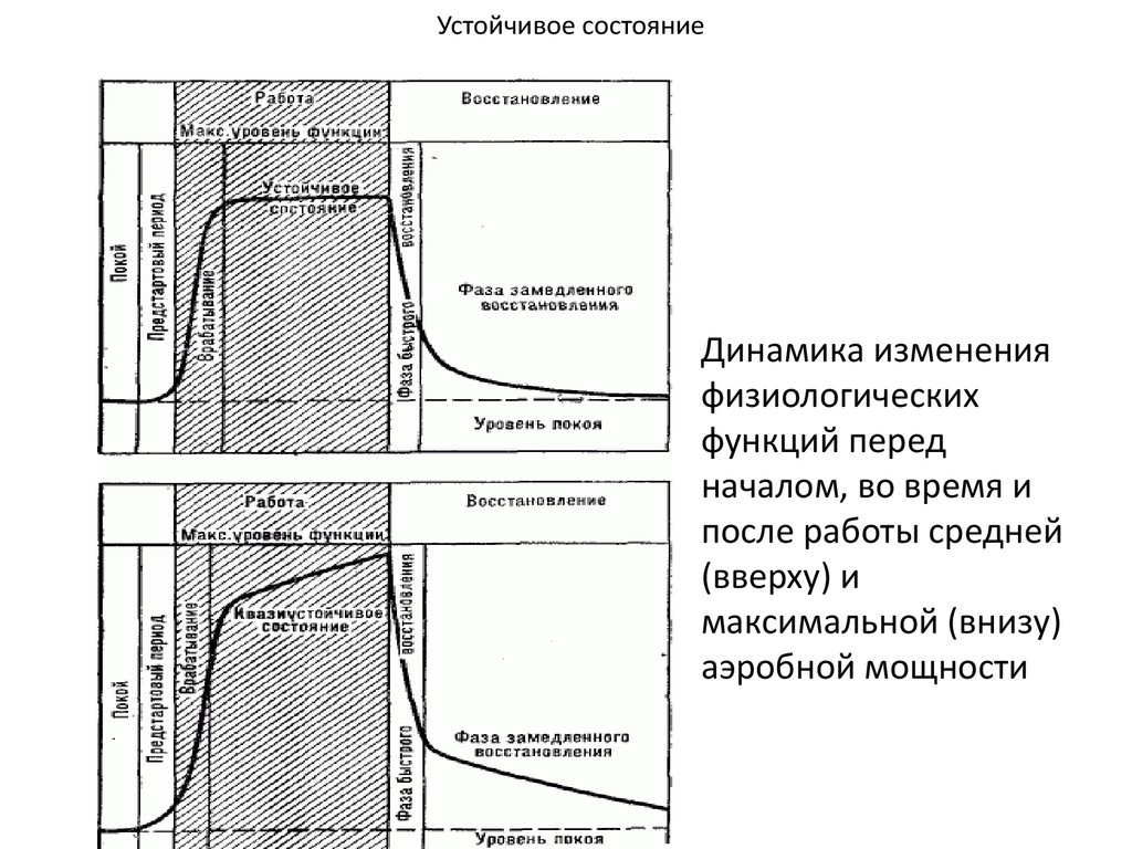 Устойчивое период. Истинное устойчивое состояние. Истинное и ложное устойчивое состояние. Кажущееся устойчивое состояние. Виды устойчивого состояния.