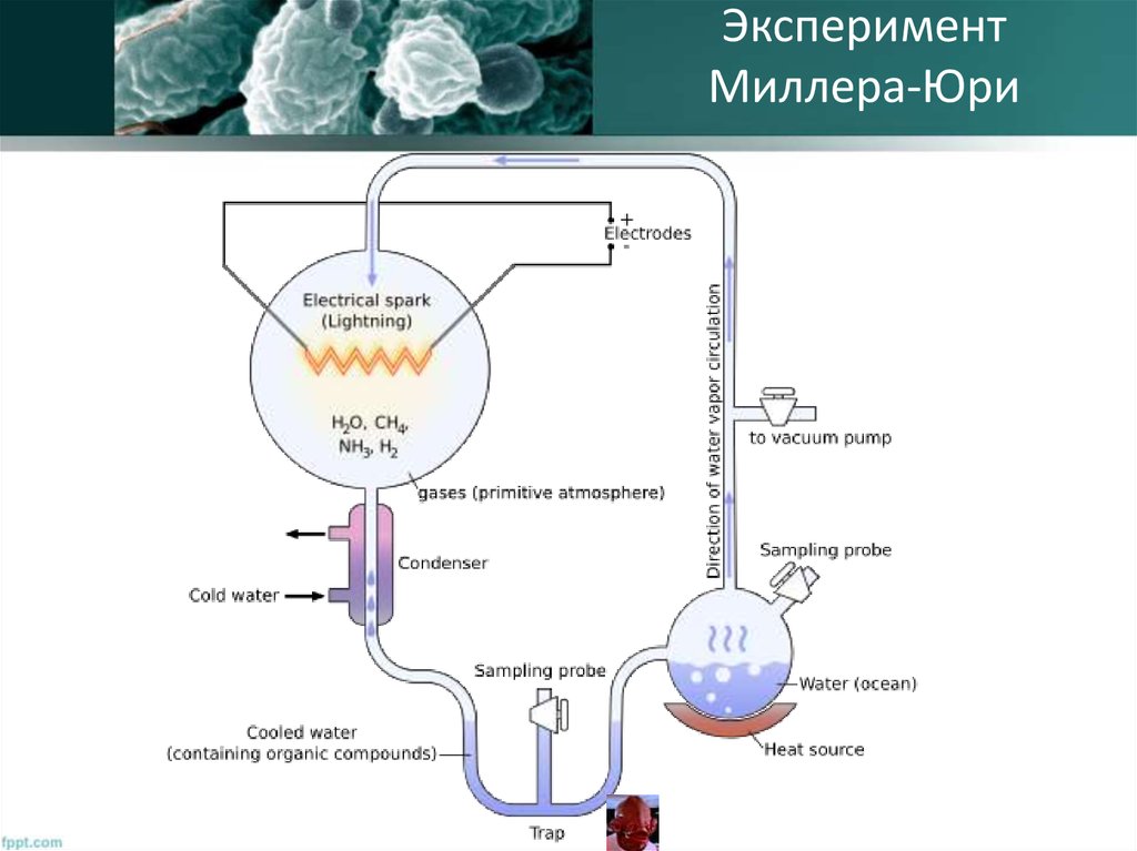 Опыты миллера доказали