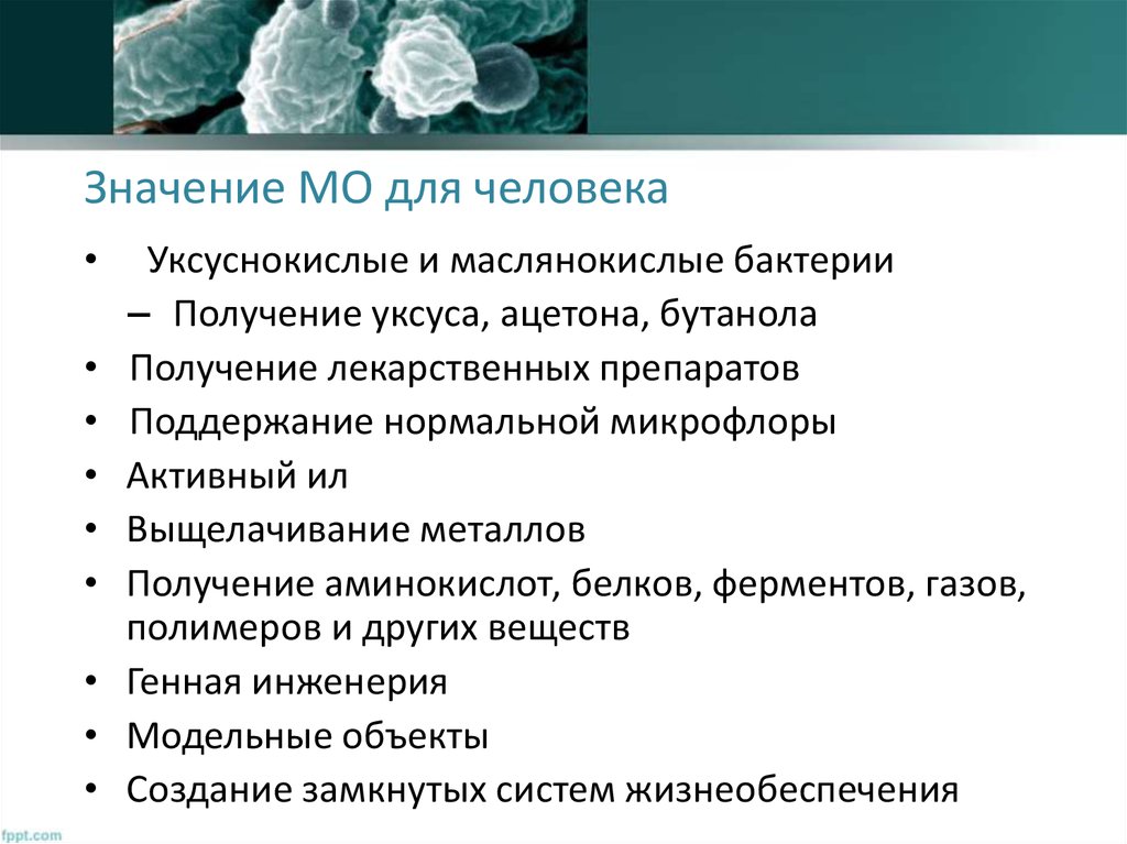 Положительные и отрицательные стороны использования микроорганизмов презентация