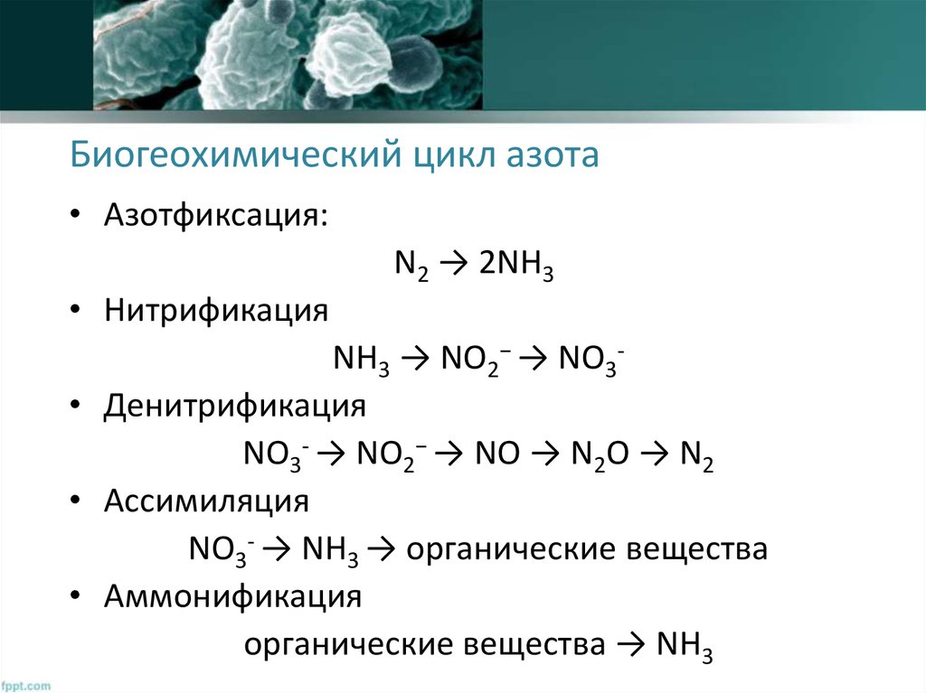 Схема восстановления азота