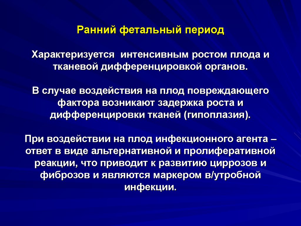 Интенсивный период. Фетальный период характеризуется. Ранний и поздний фетальный периоды.