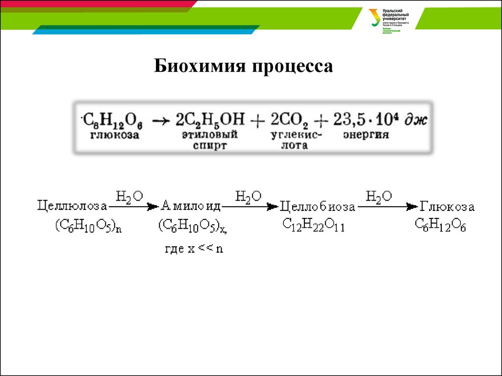 Какой биохимический процесс. Биохимия процесс. Гдг биохимия процессы. Биохимические процессы в производстве спирта. Биохимические процессы примеры.