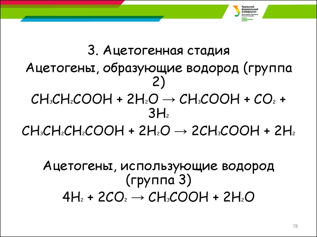 Ацетогены. 2 Группа. Сн2о+(nн2)2со. Соматический набор это 2н2с или 2н4с.