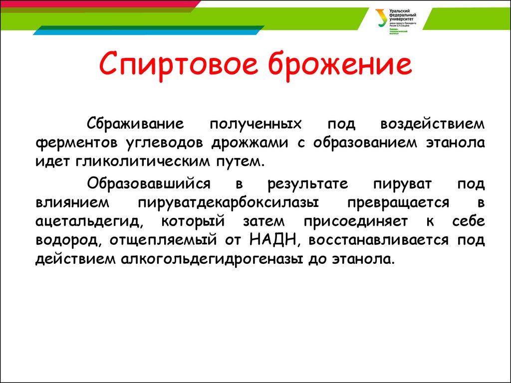 В клетках каких организмов происходит спиртовое брожение