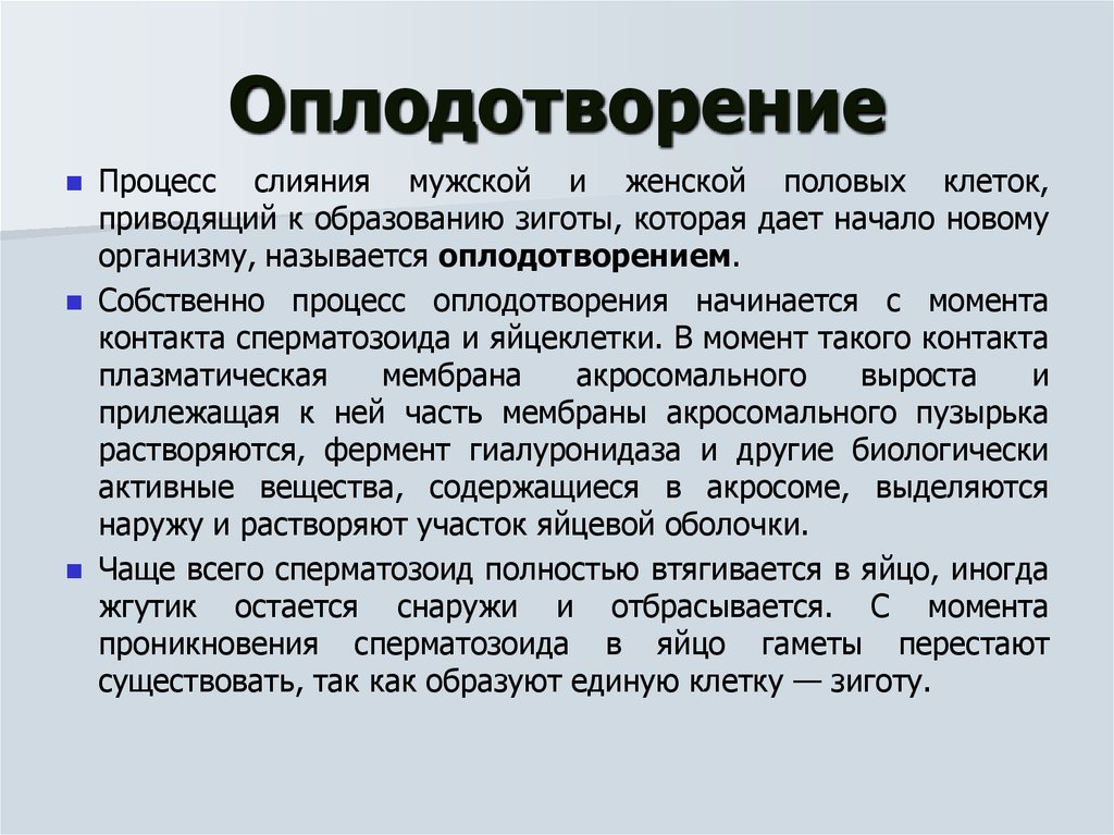 Слияние женской и мужской половых клеток. Образование половых клеток и оплодотворение. Образование половых клеток и оплодотворение кратко. Процесс оплодотворения кратко. Характеристика процесса оплодотворения.