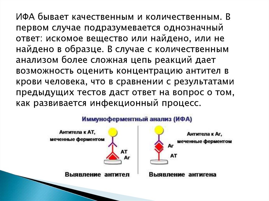 ИФА метод исследования. Иммуноферментный анализ(ИФА) компоненты. Ифа качественно что это