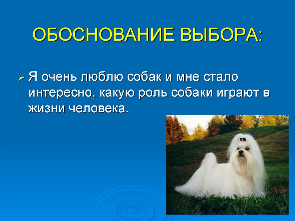 Роль собак в жизни человека проект 4 класс