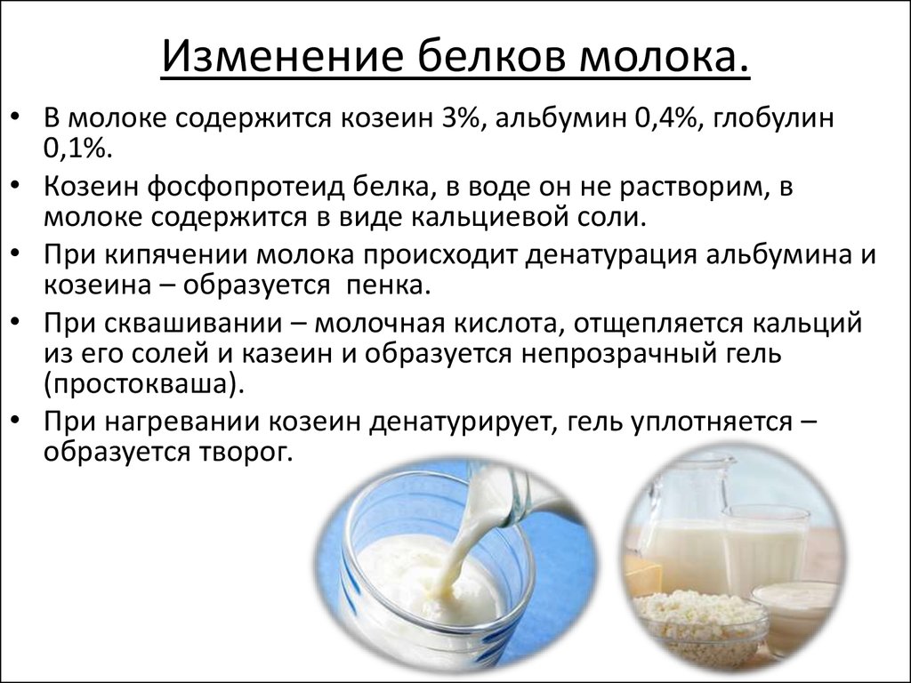 Молочный белок состав. Белок молока. Белок в молоке. Молоко это белок. Белок молока коровы.