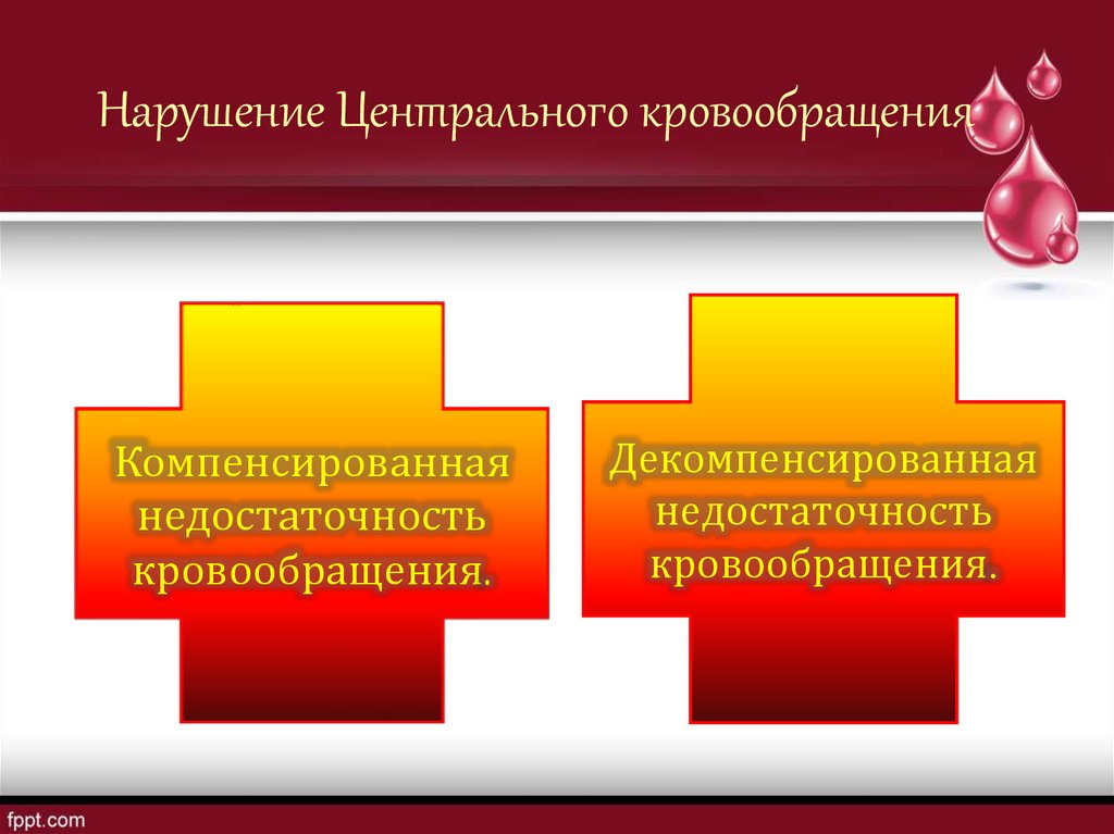 Презентация патология кровообращения