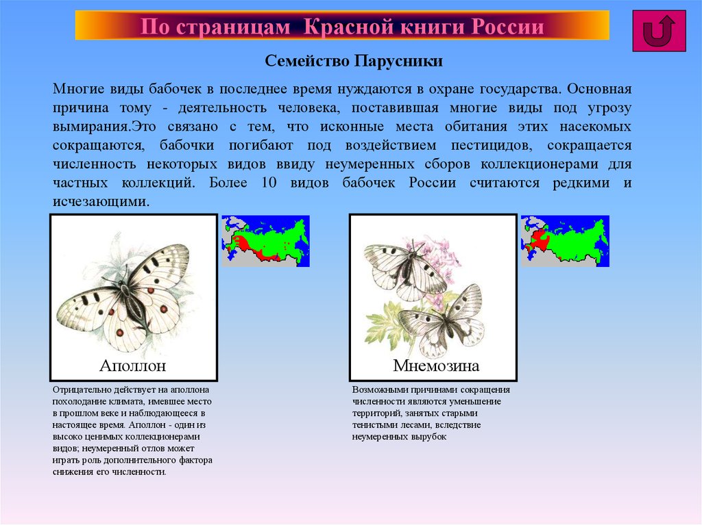 Тип развития чешуекрылых бабочек