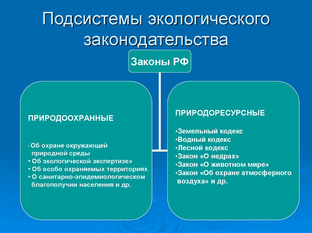 Экологическое право сложный план 10 класс