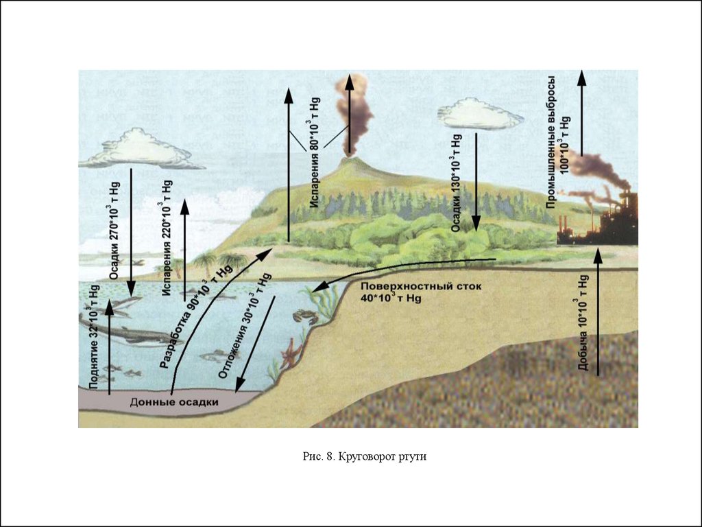 Сток фактор. Биогеохимический цикл ртути. Ртуть в биосфере. Круговорот ртути в окружающей среде. Биогеохимический цикл тяжелых металлов.