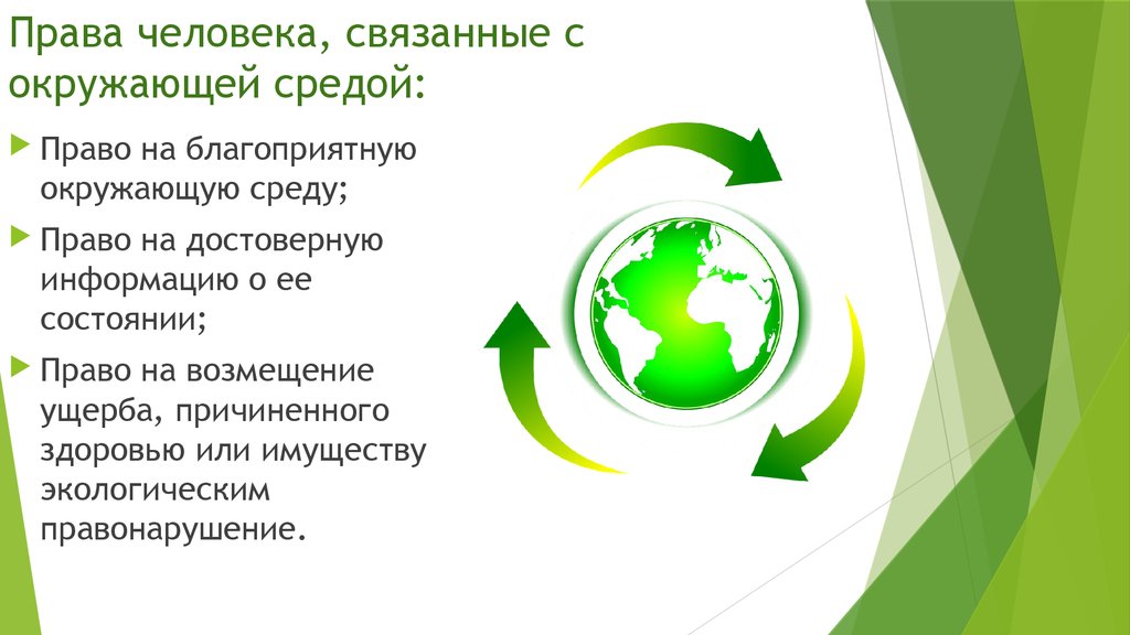 Презентация информационная экология