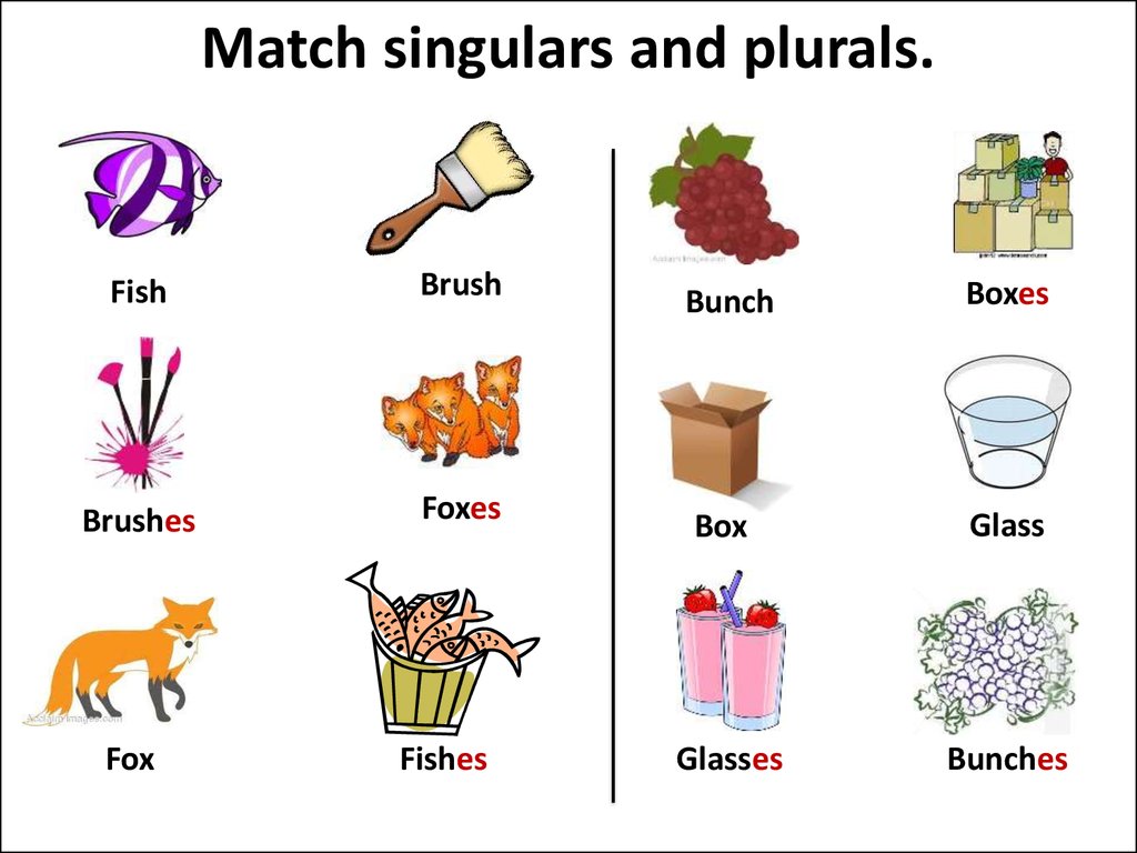 Singular and plural nouns - online presentation