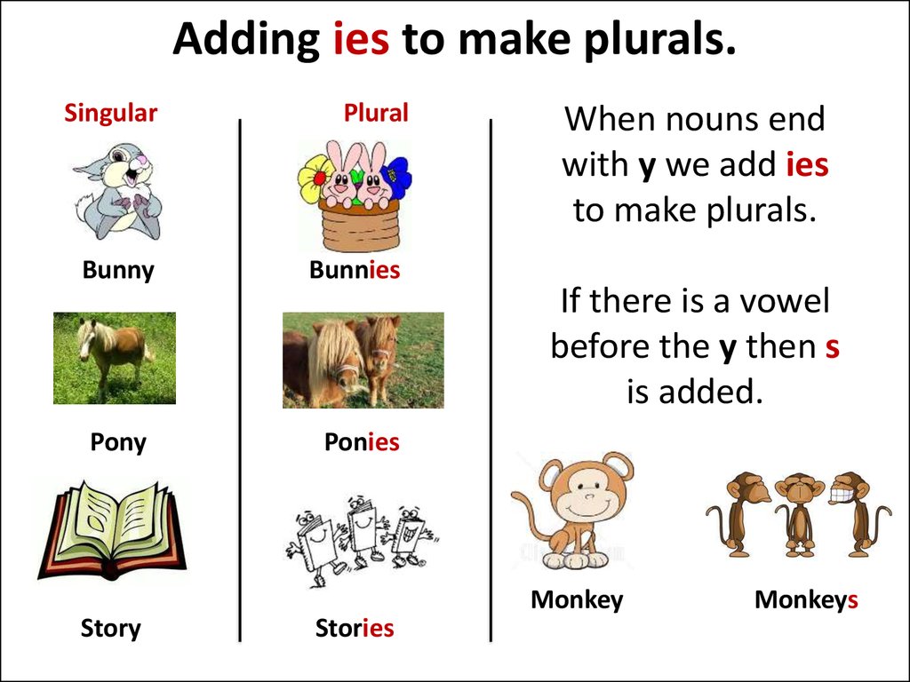 Plural Y To Ies