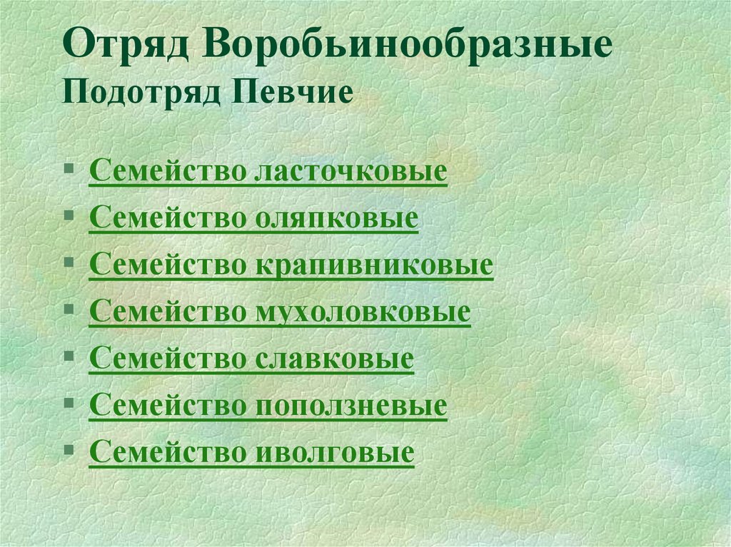 Подотряд. Отряд Воробьинообразные классификация. Отряд Воробьинообразные систематика. Представители отряда воробьинообразных. Классификация птиц отряды.