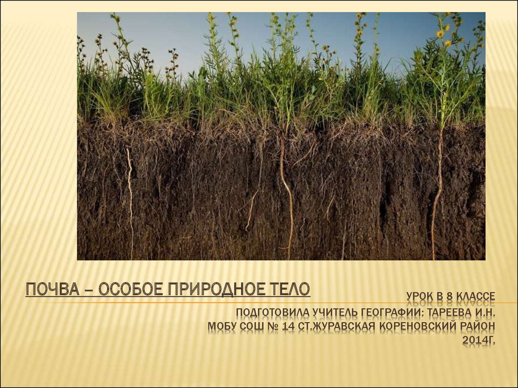 География 6 класс тема почва. Почва природное тело. Почвы России. Почва как особое природное тело. Почва это особое природное.