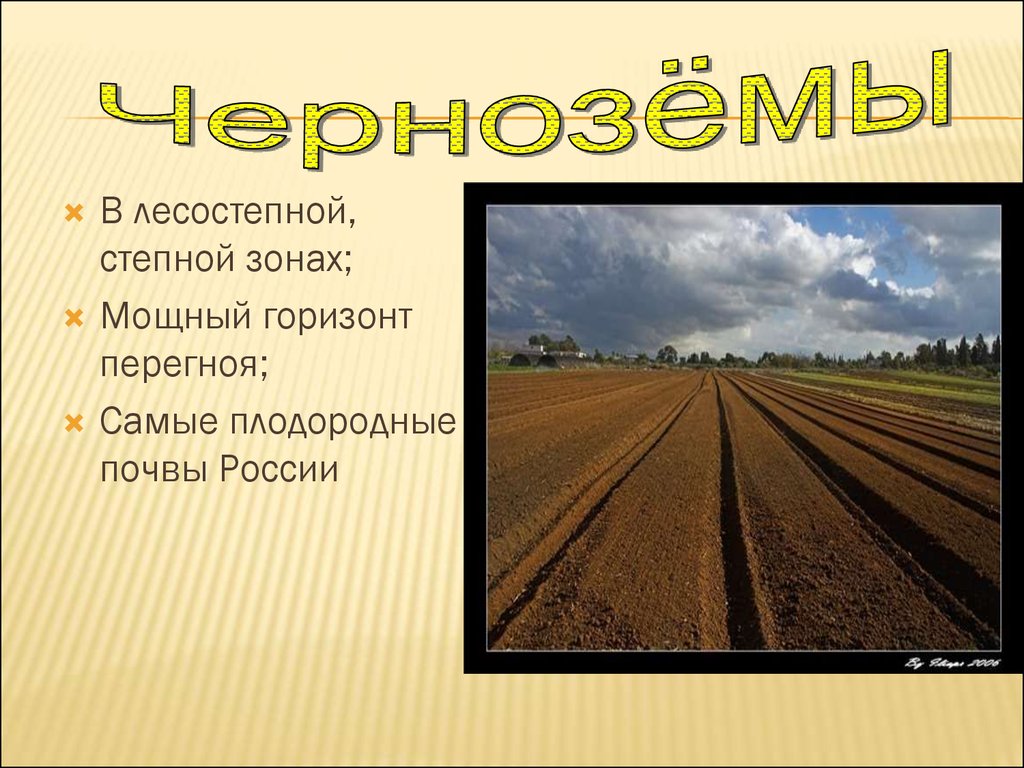 В какой природной зоне самые плодородные земли. Самые плодородные почвы России. Самая плодородная почва в Росси. Самые плодородные почвы. Почв лесостепной и Степной зоны.
