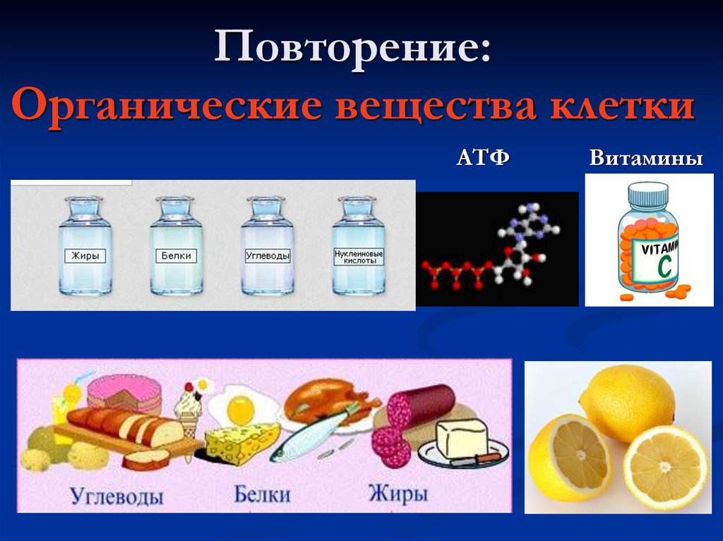 Нуклеиновые кислоты в пище