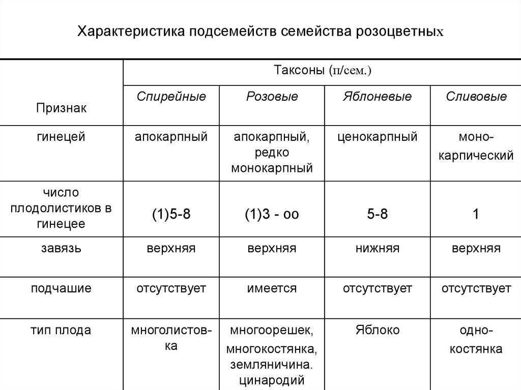 Семейство Розоцветные таблица 6