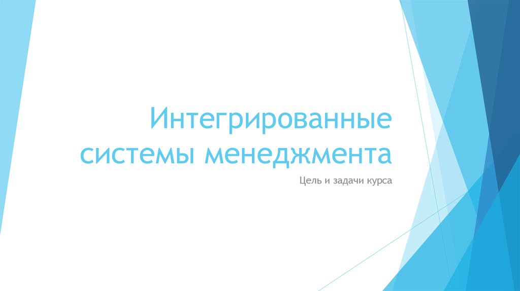 Реферат: Интегрированные системы менеджмента 2