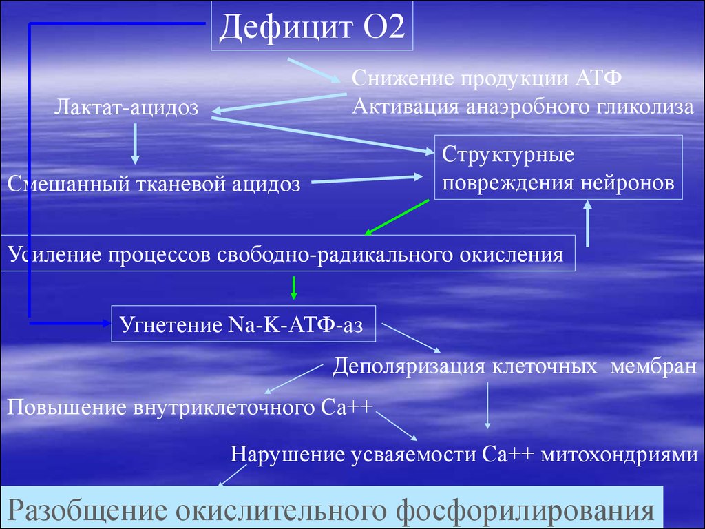 Лактат это. Лактат ацидоз. Активация пол патофизиология. Лактатацидоз схема. Лактат дефицит.