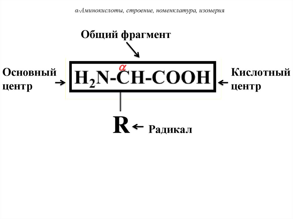 Строение номенклатура