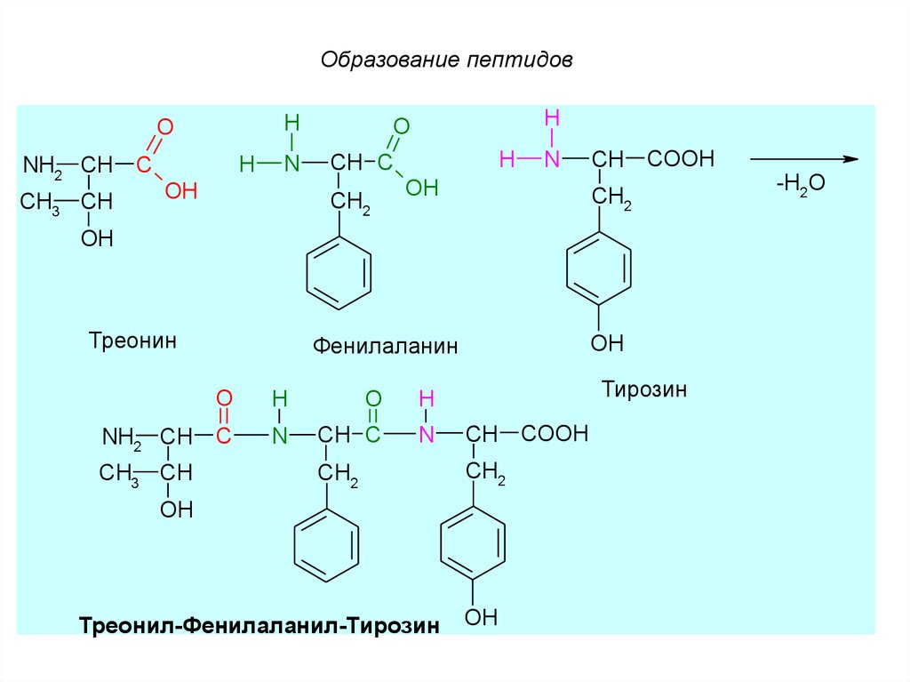 Полипептид 7. Треонин фенилаланин тирозин. Тирозин изомеры. Трипептид тирозин. Фенилаланин номенклатура.
