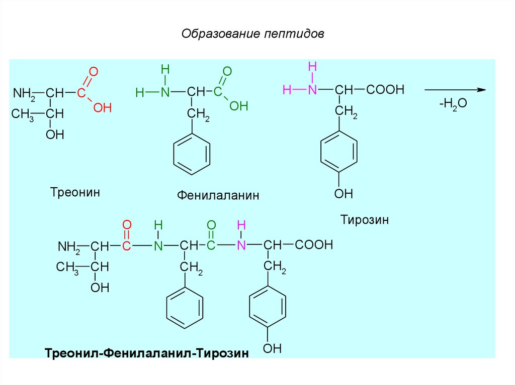 download вторжение долгожителей в чужие эпохи