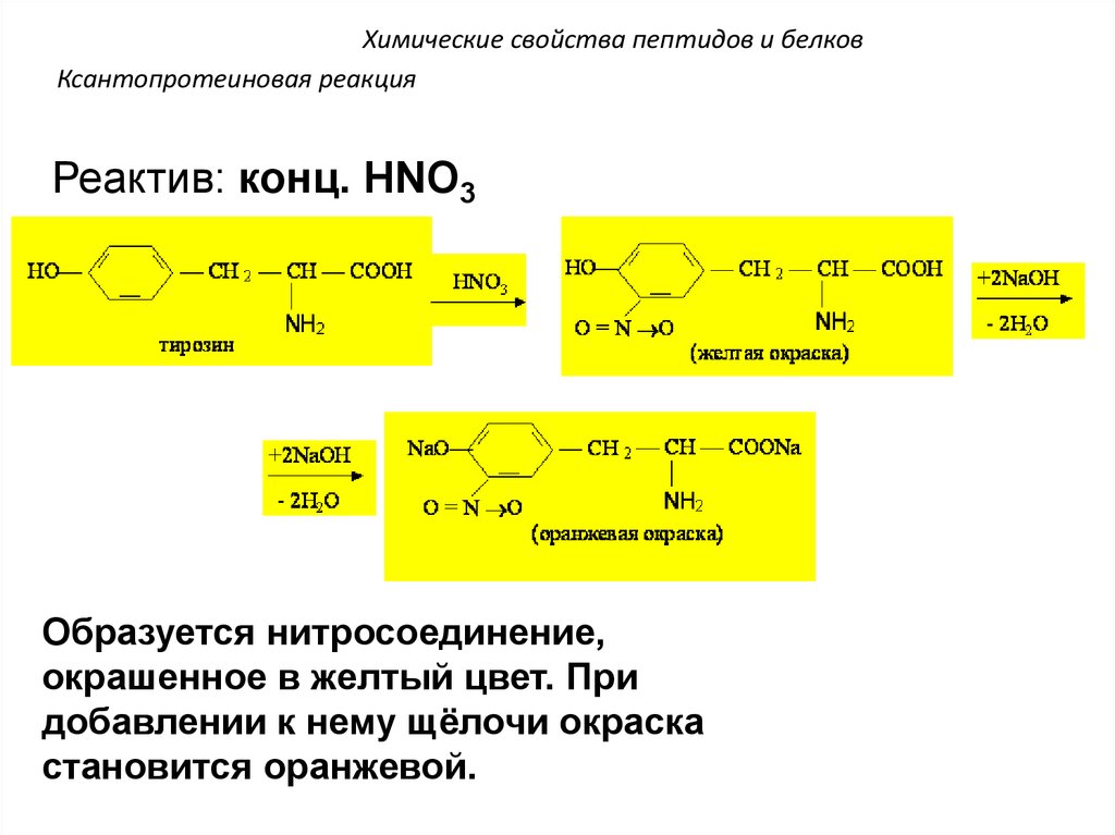 Полипептиды с азотной кислотой дают. Ксантопротеиновая реакция белков. Ксантопротеиновая реакция на белки. Ксантопротеиновая реакция яичного альбумина. Ксантопротеиновая реакция с яичным белком.