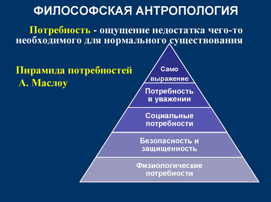 Философская антропология план