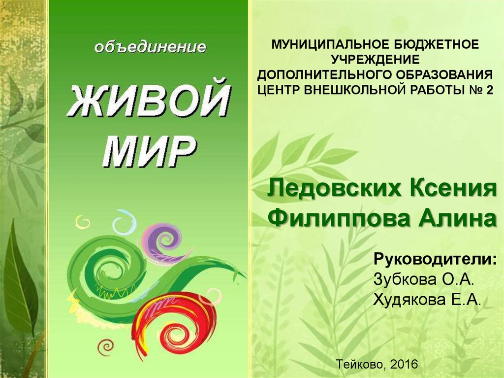 Приложение жив. Программа живой мир образов. Цель программы живой мир образов. Программа живой мир образов книга. Приложение живой мир.