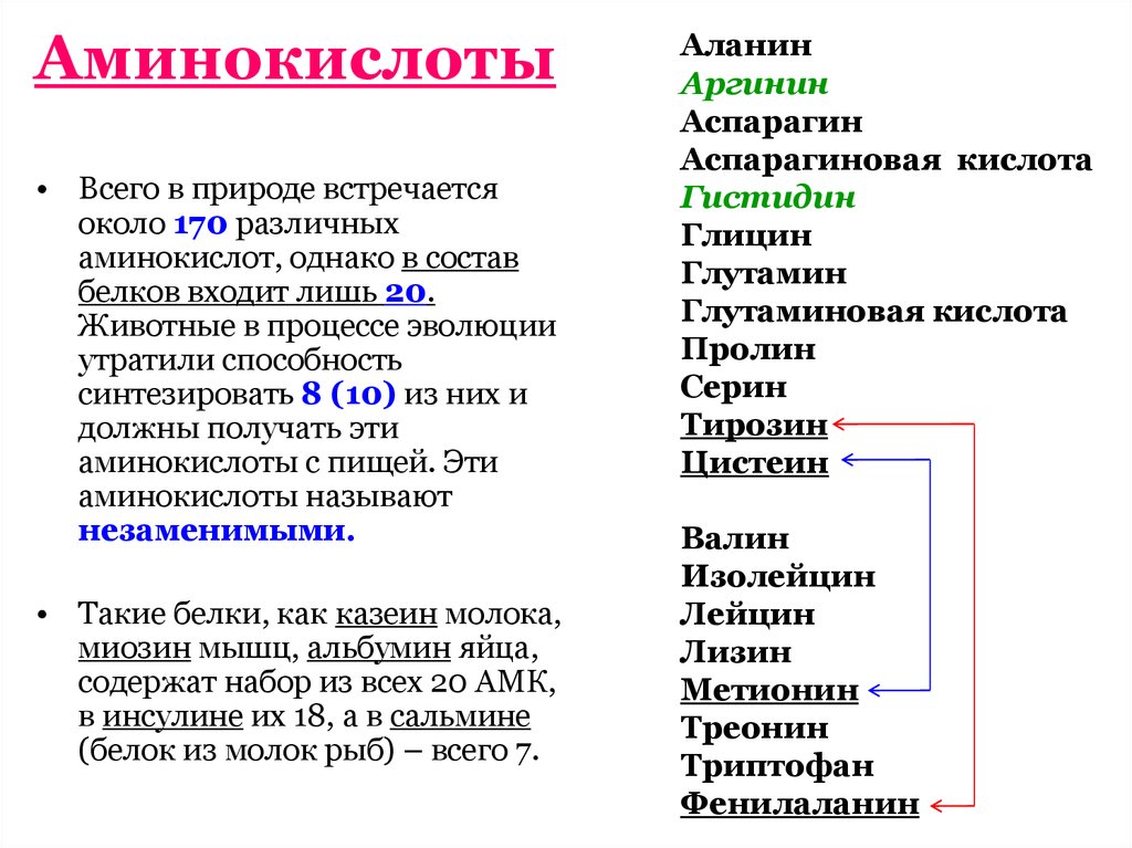 Белок кислота. Аминокислоты нахождение в природе. Распространение аминокислот в природе. Роль аминокислот в природе. Значение аминокислот в природе.