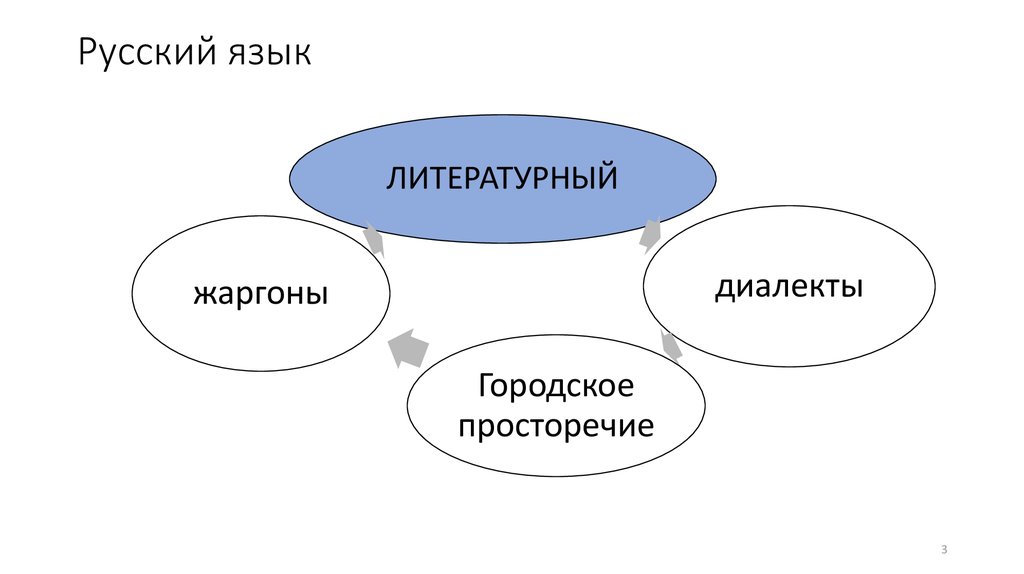 Понятие о литературном языке и языковой норме