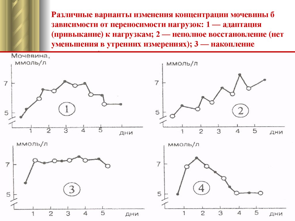 Варианты изменения. Переносимость нагрузок. Переносимость нагрузок и система восстановления после нагрузок. Изменение переносимости. Изменение концентрации мочи.