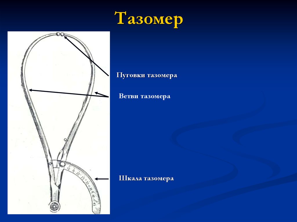 Измерение таза картинки