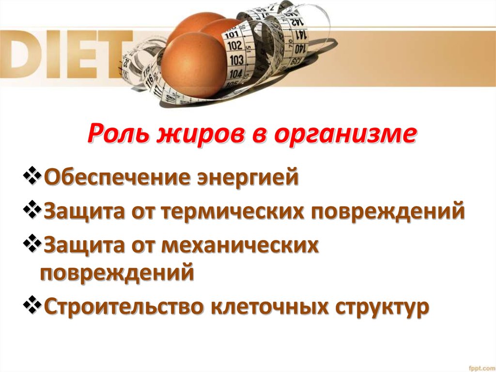 Каково значение в организме. Роль жиров. Жиры роль в организме. Роль жиров в жизнедеятельности организма. Роль жиров в живых организмах.