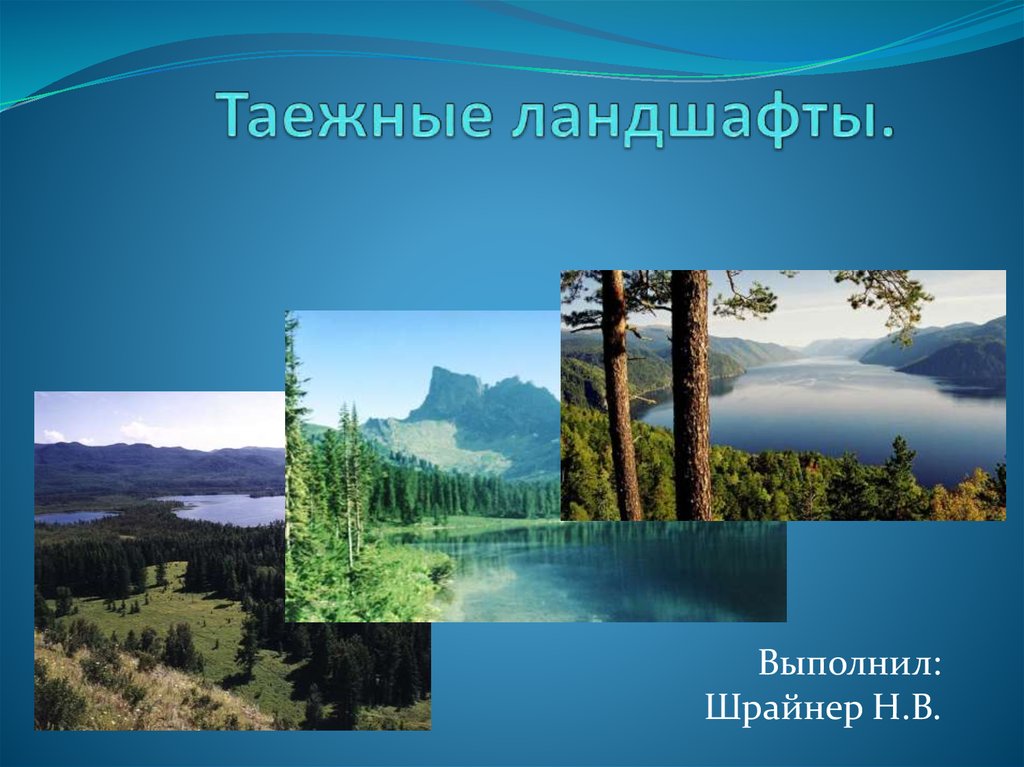 Типы географических ландшафтов. Таежные ландшафты. Таежные ландшафты презентация. Ландшафт земли презентация. Презентация на тему ландшафты по географии.