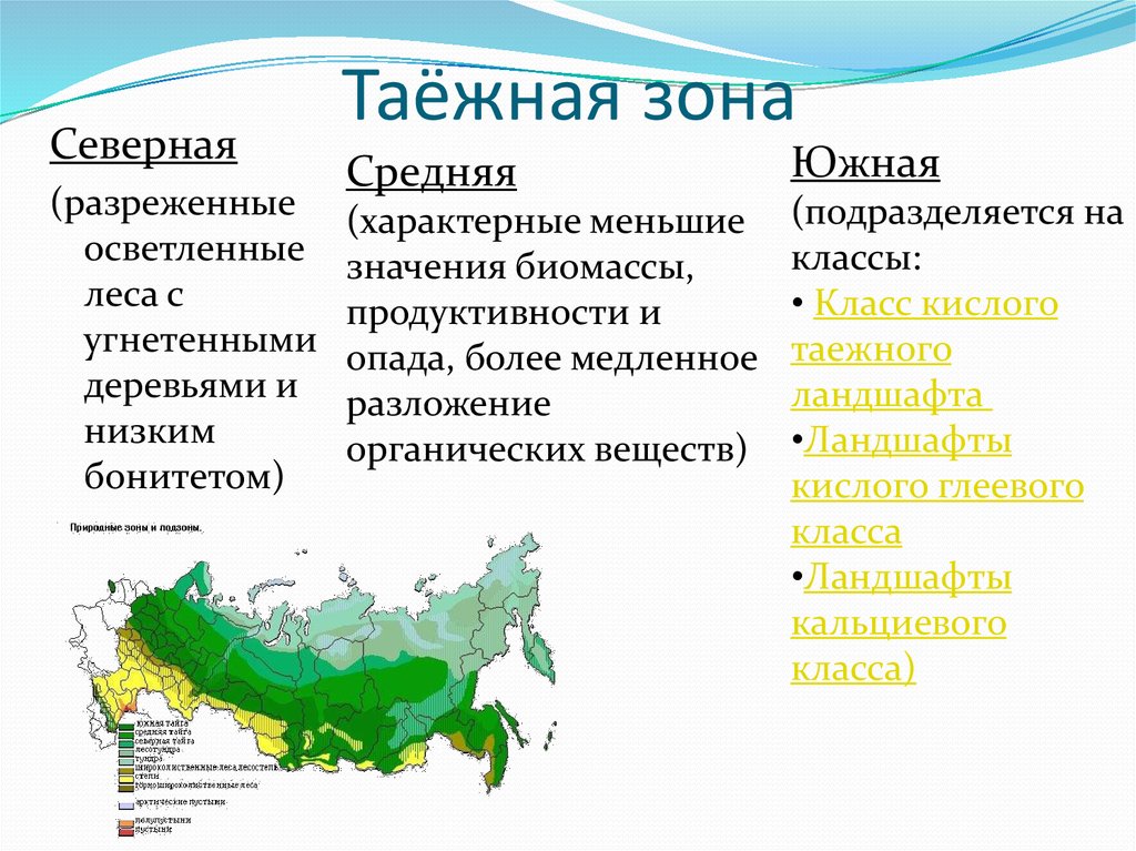 Лесная зона занимает большую часть климатического. Северная и средняя Тайга. Географическое положение тайги. Тайга на географической карте. Таежная зона России.