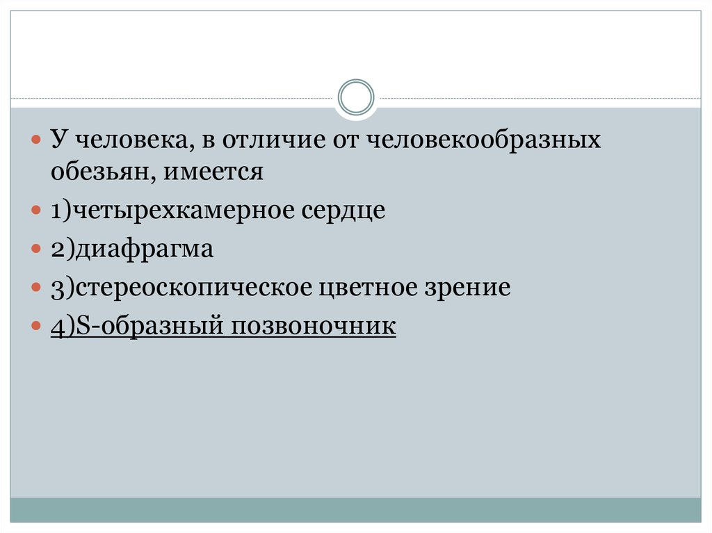 Отличие человека от приматов. В отличие от человекообразных обезьян у человека имеется. Отличие человека от человекообразных обезьян. Jnkbxbt xtkjdtrf JN xtkjdtrjj,hfpys[ j,tpmzy. Отличие человека от человекообразных обезьян четырехкамерное сердце.