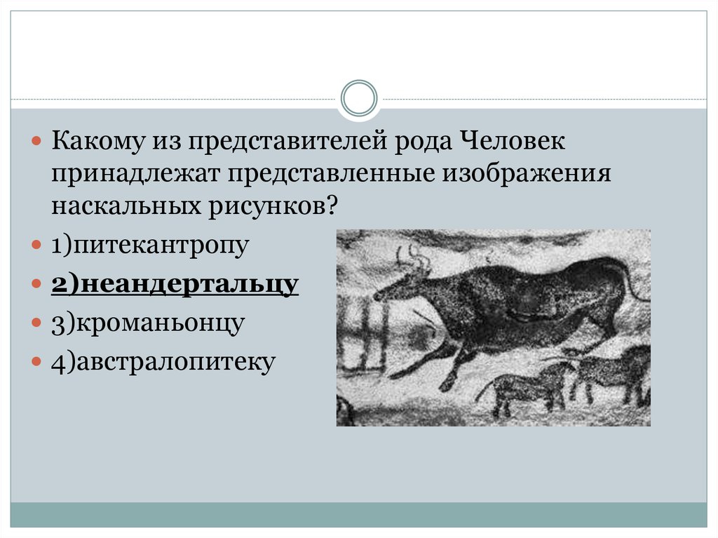 Представители родов. Какому из представителей рода человек. Наскальные рисунки рода человек питекантроп. Кому принадлежит изображения наскальных рисунков. Наскальные рисунки принадлежат 1. питекантропу.